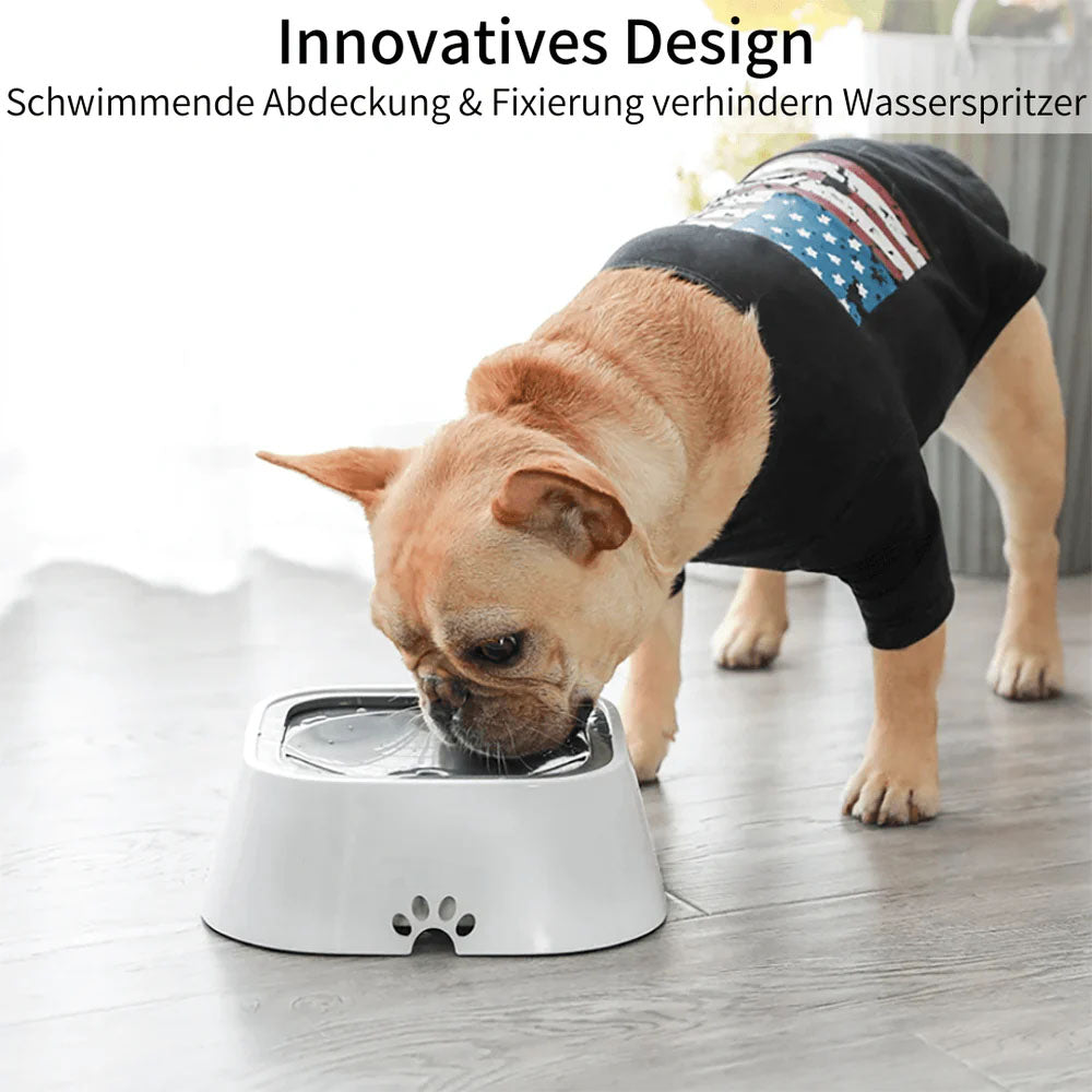 WetFree Woofwave™ - Innovativer Hundewassernapf für trockene Pfoten