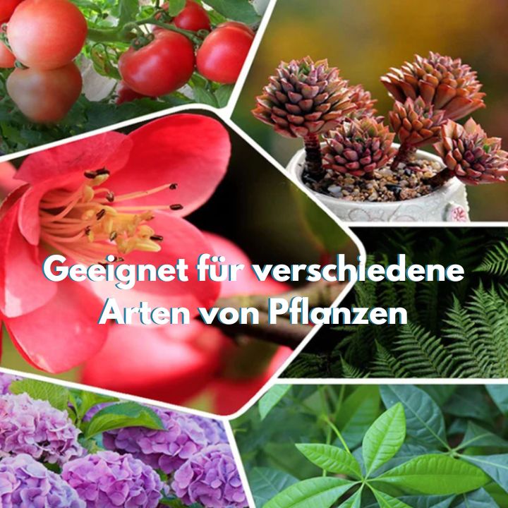 1+2 Gratis | SoilBoost™️ Pflanzen umweltfreundlich wieder zum Leben erwecken!