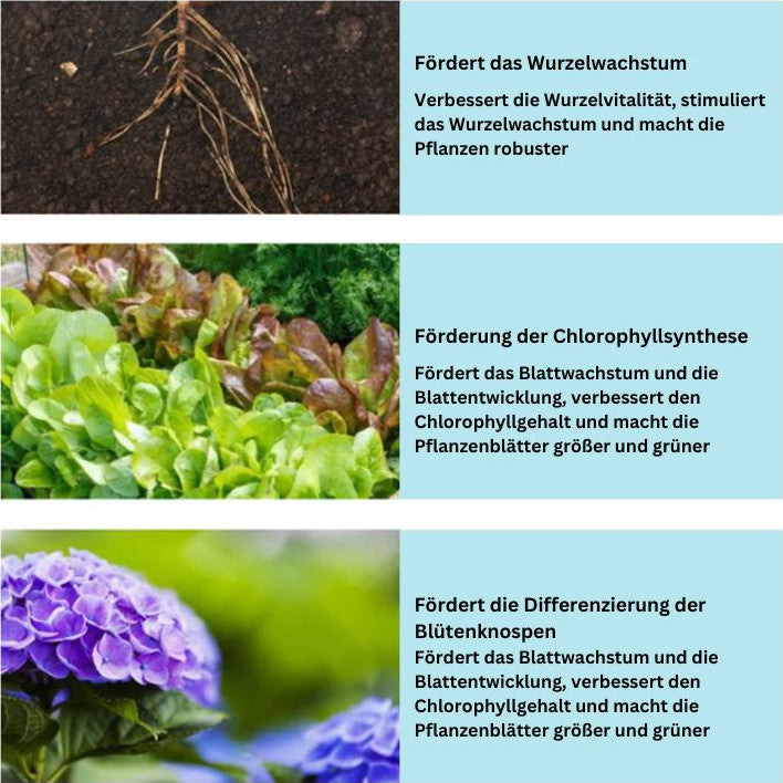 1+2 Gratis | SoilBoost™️ Pflanzen umweltfreundlich wieder zum Leben erwecken!