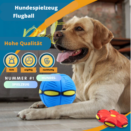 50% RABATT | AeroFetch™ | Endloser Spaß Hund Bumerang Spielzeug